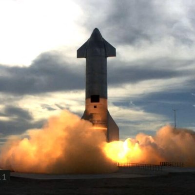 InquisitiveIbex's profile picture. Lock In or Clock In