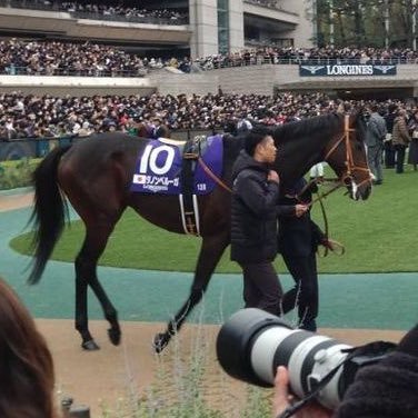 bdgmjgj's profile picture. 