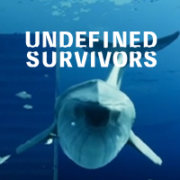 【公式】Undefined Survivors-アンディファインドサバイバーズ- (@undefinedsurv) 's Twitter Profile