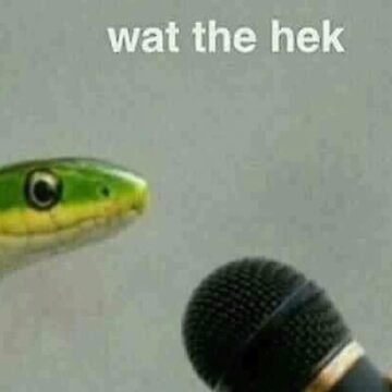 WhenAbsoluteD's profile picture. Nobody of particular note.