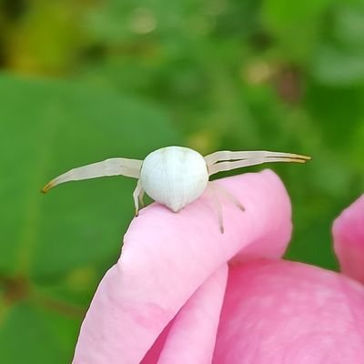 __Neocortex__'s profile picture. GER / NRW 
#fkbp14 #migrainesucks
Accounts that use images without citing the source will be blocked.

@neocortex.bsky.social