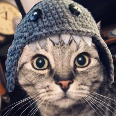 BTC minimalist, low key specialist, literally a singer in a rockband doing some crypto research on X, do not take my posts to seriously
