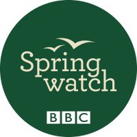 BBC Springwatch(@BBCSpringwatch) 's Twitter Profile Photo