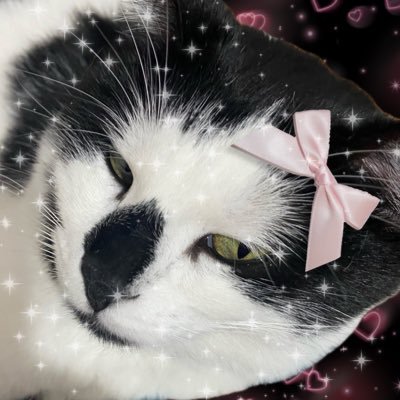 sionistabonita's profile picture.