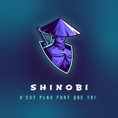 Shinobi 🥷🏾