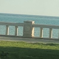 ابو محمد ينبع البحر مصري (@dhydanmtwly) 's Twitter Profile