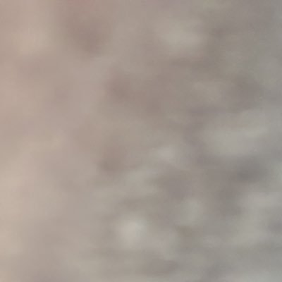 RudySfeir's profile picture. 