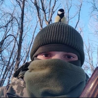 Тернистий Зореліт 😺 Profile