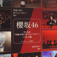 さくさく (@sakusaku1729k) 's Twitter Profile Photo