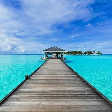 atakanvolkan34's profile picture. #gold
#silver