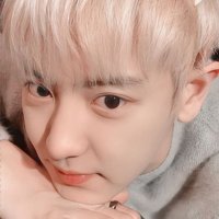 chanyeol (@cahnyelo) 's Twitter Profile