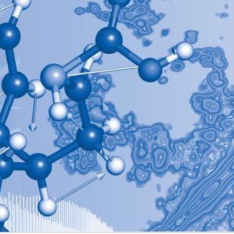 IMPS_ETH's profile picture. 