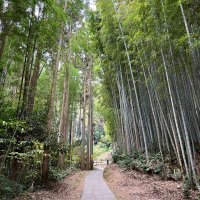和華芽🌱 (@cook_kenta) Twitter profile photo