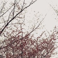 ๐โ๐ (@kyoujindesu) 's Twitter Profile