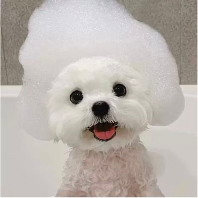 営業マン/アラサー/資産を増やすための情報発信/副業で月5万〜稼ぐ方法を発信/ポストみるだけで自然と稼ぎ方がわかります