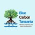Blue Carbon Tanzania (BCT) (@bluecarbontz) Twitter profile photo
