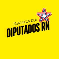Diputados RN(@DiputadosRN) 's Twitter Profileg