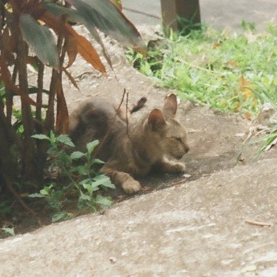 Monk_029's profile picture. 低調潛水、長照菜雞