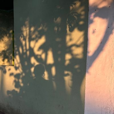 nxtslv's profile picture. la púrpura en mis venas abunda