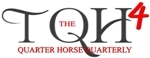 On line magazine and marketplace for the equine community.   $100 Unlimited Advertising.   Visit our website today!