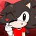 ❤️Valko The Hedgehog🤎 (Chuckles) (@ChucklesYTReal) Twitter profile photo