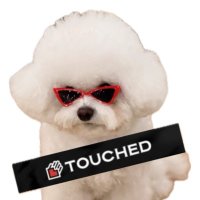 μλ§ (@yse_tcd) 's Twitter Profile Photo μλ§ (@yse_tcd) 's Twitter Profile Photo