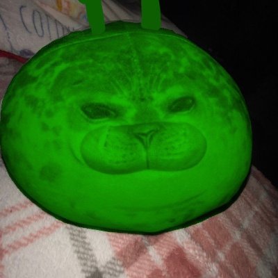 Kajshda11002's profile picture. 