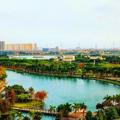 20161104z's profile picture.