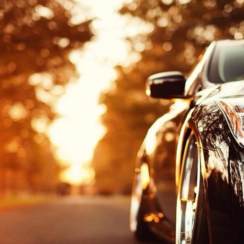 goodlife2050's profile picture. 