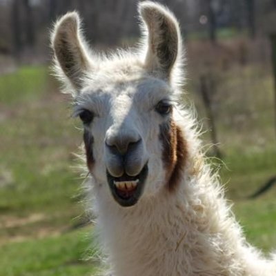 gmo420's profile picture. What others think of me is none of my business.