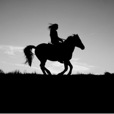I am a historical fiction blogger over at The Book Bandit's Library.