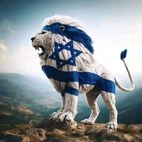 🇮🇱Feichi Yisrael🇮🇱 (@feichitherabbi) 's Twitter Profile