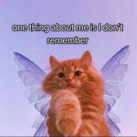 Ash fell from the sky (@ravenspren) 's Twitter Profile Photo