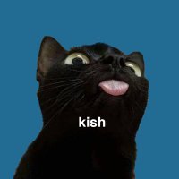 kish | クリエイティブブランドマネージャー(@kowl408) 's Twitter Profile Photo