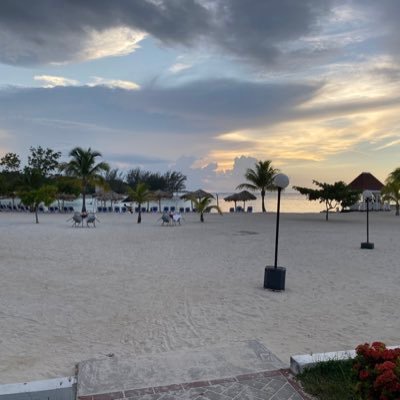 SStesky's profile picture. Principal with DPCDSB