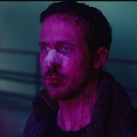 notfine club (@notfineclub1) 's Twitter Profile Photo