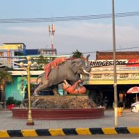 អាពៅ តួរស្រី ស្វាយរៀង..ជិតអេស៊ីលីដា(ទីរួមខេត្ត) (@msscutecute1) 's Twitter Profile