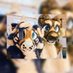 Amyris (@pumpcatspice) Twitter profile photo Amyris (@pumpcatspice) Twitter profile photo