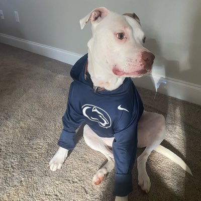 We are BBQ Dudes...We are Tailgaters...WE ARE PENN STATE! Creators of 409 BBQ Dry Rubs, Tailgate Sauces & That Lady’s Sweet Bloody Mary Mix!