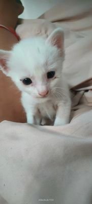 mmjjlovely's profile picture. 