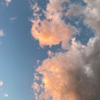 Hiroko (@hiromx) 's Twitter Profile