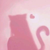 kitty ᰔᩚ (@lucidkittyyxx) 's Twitter Profile