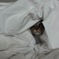 𝙽𝚁 (@nourierb) 's Twitter Profile