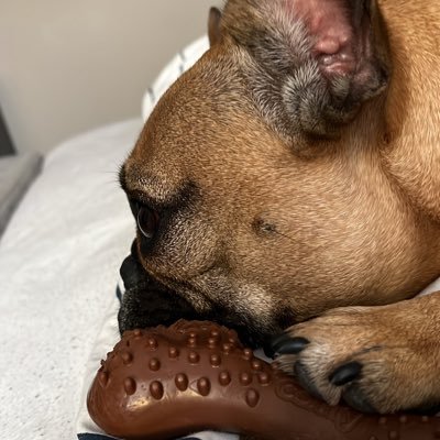 hesdems's profile picture. ‘don’t dream, it’s over’ she/her