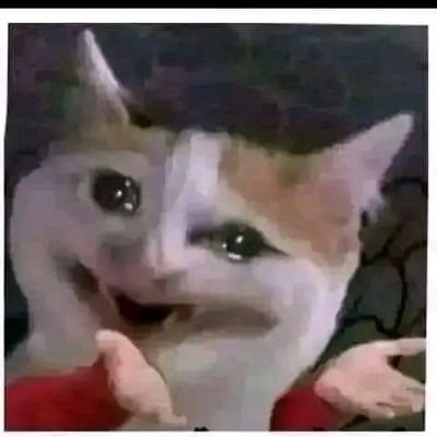 beetroit's profile picture. Ambivert
Crypto Enthusiast
Sapiosexual
Python dev