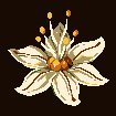 Asphodel (@asph0d37) 's Twitter Profile Photo Asphodel (@asph0d37) 's Twitter Profile Photo