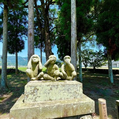 NoahEvans523745's profile picture. ただ単に神社さんの雰囲気や造りが好きで気ままに上がらせていただいてますたまにお寺さん
も特に彫刻や鳥居、扁額が😊好き 神社仏閣を通じてこの国の美しさを伝えたい🤞
同じ趣味を持つ友達を見つけたい誠実な友達を作るのが好きです一緒に日常生活を分かち合う💖