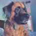 Dogs🤗people😑🇺🇸🌎☀️🌊💙 (@l0ved0gsmore) Twitter profile photo Dogs🤗people😑🇺🇸🌎☀️🌊💙 (@l0ved0gsmore) Twitter profile photo