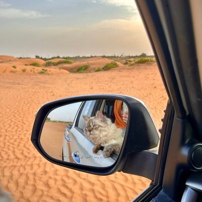 طفلة الدلع بنت القمرّ شيخة الطبوع ، سادة على كُل العذارى بـ الجمـال 💭❤️