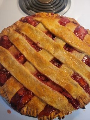 novac2281's profile picture. 